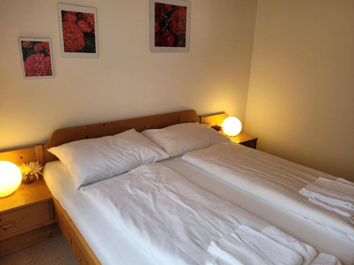 Profelt'S Apartments Uttendorf - Steinbock Lodges Kültér fotó